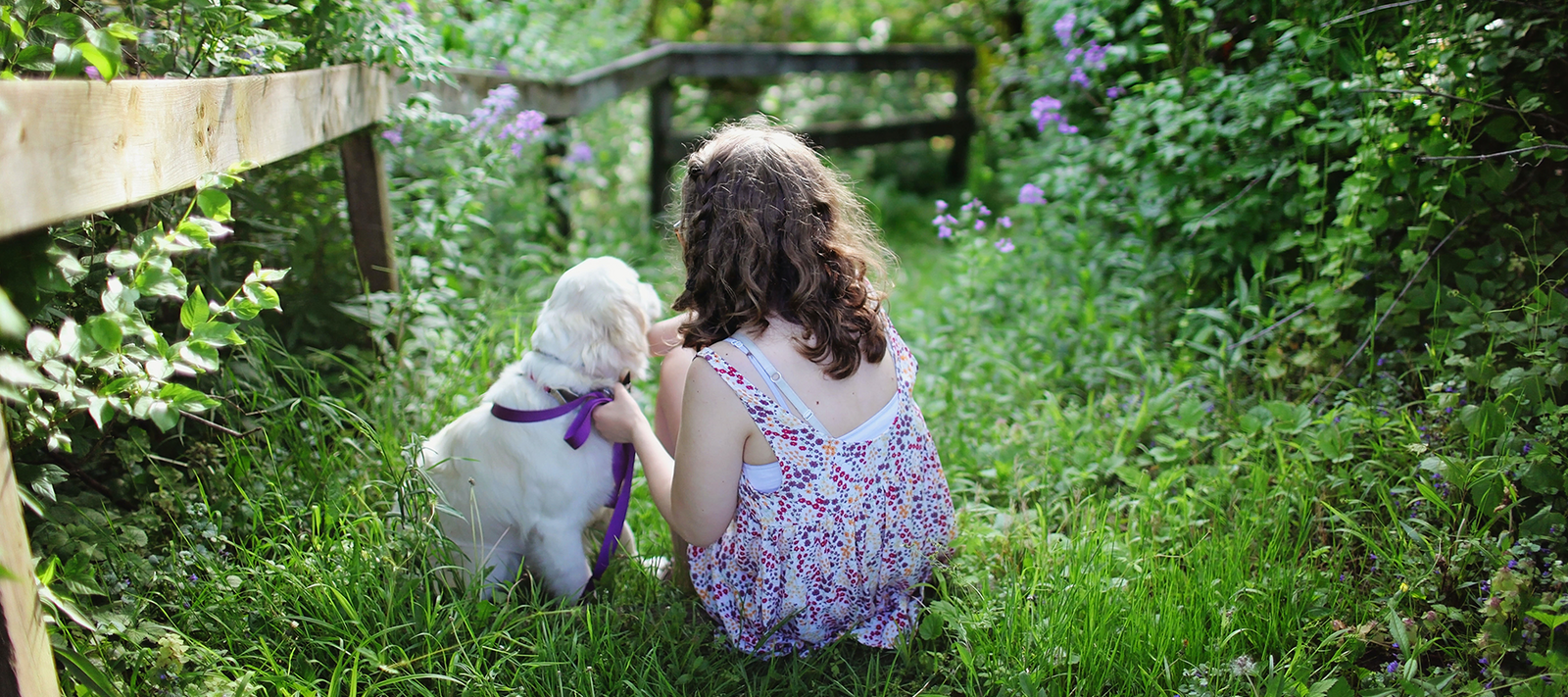 Welcoming a new fur-ever friend: Introducing a pet into the family!