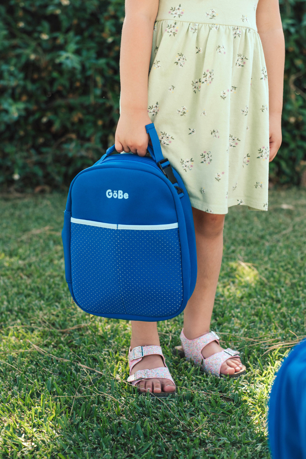 Insulated Lunch Bag
